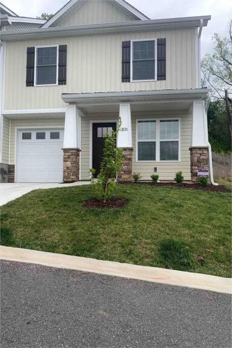 Newly Built Townhome Close To The Asheville Sites Candler Buitenkant foto