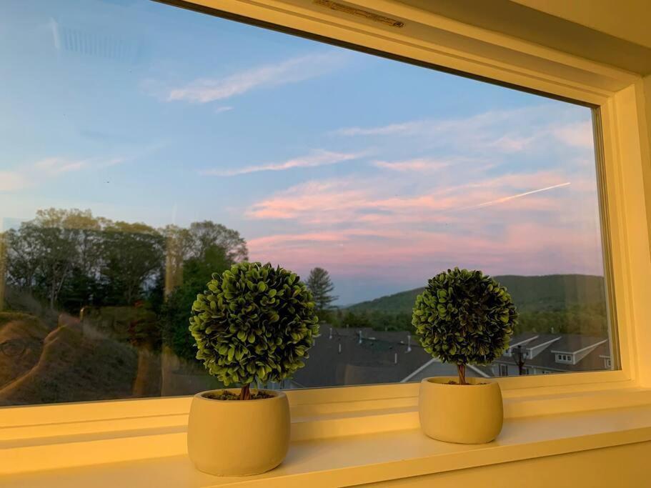 Newly Built Townhome Close To The Asheville Sites Candler Buitenkant foto